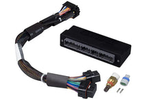 Load image into Gallery viewer, Haltech 92-95 Honda Civic/Integra (OBD-I B-Series) Elite 1000/1500 Plug-n-Play Adaptor Harness Haltech