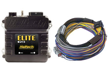 Load image into Gallery viewer, Haltech Elite 750 Basic Universal Wire-In Harness ECU Kit Haltech