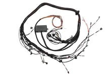 Load image into Gallery viewer, Haltech Toyota 2JZ Elite 2000/2500 Terminated Engine Harness-Wiring Harnesses-Haltech-9356450005784-