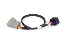 Load image into Gallery viewer, Haltech NEXUS Rebel LS 8-Pin DBW Adaptor (Plug-n-Play w/HT-186500)-Wiring Connectors-Haltech