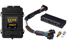 Load image into Gallery viewer, Haltech Elite 1500 Adaptor Harness ECU Kit Haltech