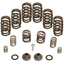 Load image into Gallery viewer, BD Diesel Governor Spring Kit 4000rpm - 1994-1998 Dodge 12-valve/P7100 Pump - BD Diesel BDD1040185