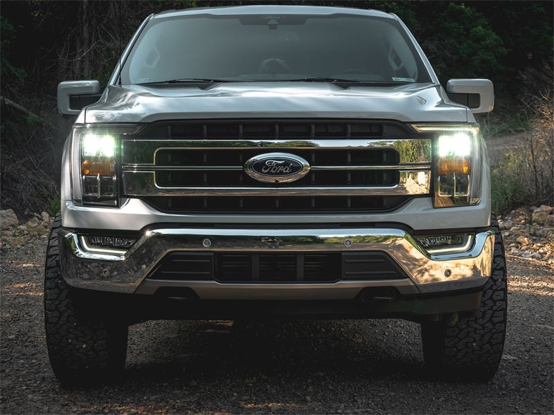 Tuff Country 21-23 Ford F-150 4x4 Ball Joint Upper Control Arms-Control Arms-Tuff Country