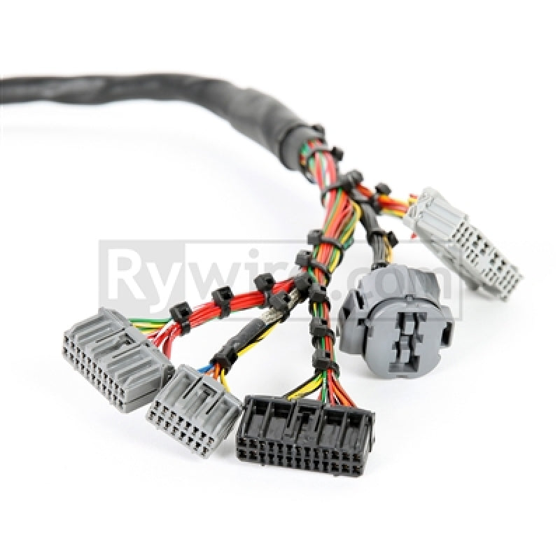 Rywire Honda B-Series Mil-Spec Eng Harness w/OBD2 Dist/Inj/Alt & OBD1 92-95 ECU Plugs (Adapter Req) Rywire