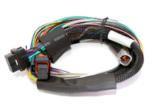 Load image into Gallery viewer, Haltech Elite 1500 8ft Basic Universal Wire-In Harness (Excl Relays or Fuses) Haltech