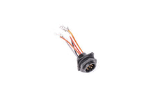 Load image into Gallery viewer, Radium Engineering Bulkead Harness Internal Triple Walbro F90000262 Pump Radium Engineering