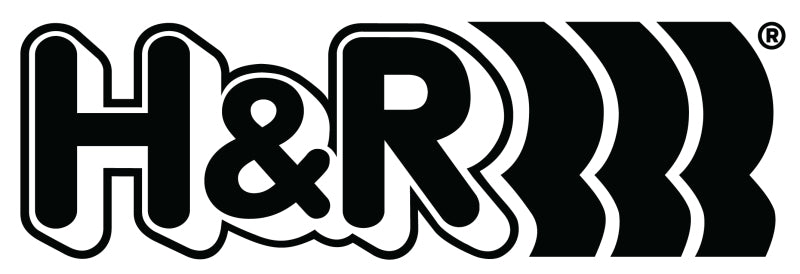 H&R 19mm Rounded D26 M 14 X 1.5 Lug Nut - H&R HRS145003