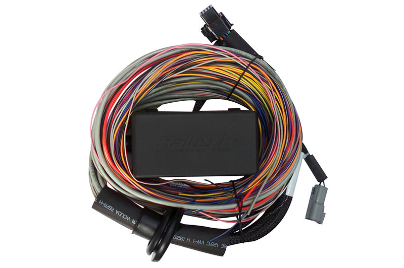 Haltech Elite 750 8ft Premium Universal Wire-In Harness - Haltech HT-140604