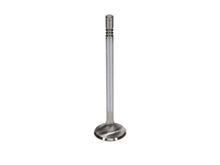 Load image into Gallery viewer, Manley Performance Manley Ford 4.6L DOHC (4 Valve) Triple Groove 30mm Race Master Exhaust Valves
