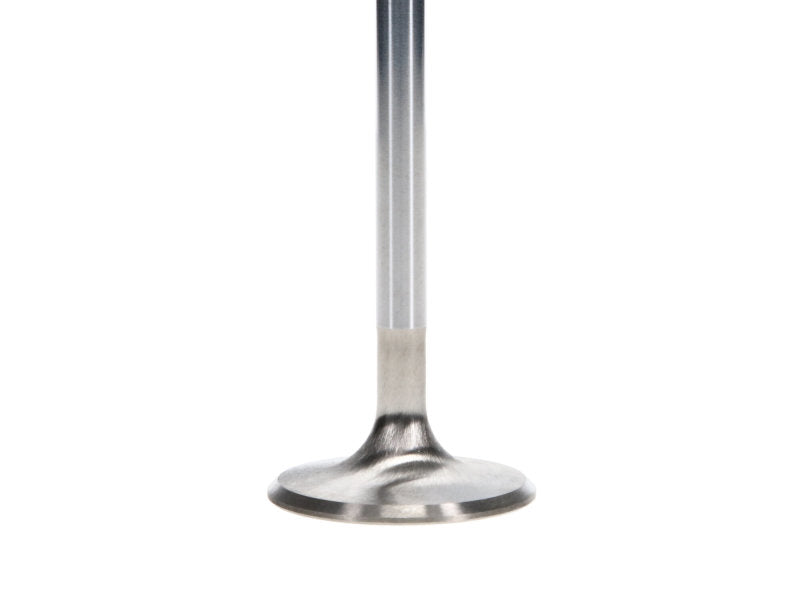 Manley Performance Manley Ford 4.6L DOHC (4 Valve) Triple Groove 37mm Race Master Intake Valves