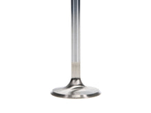 Load image into Gallery viewer, Manley Performance Manley Ford 4.6L DOHC (4 Valve) Triple Groove 37mm Race Master Intake Valves