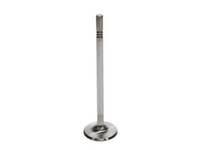 Load image into Gallery viewer, Manley Performance Manley Ford 4.6L DOHC (4 Valve) Triple Groove 37mm Race Master Intake Valves
