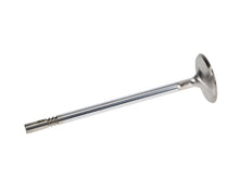 Load image into Gallery viewer, Manley Performance Manley Ford 4.6L DOHC (4 Valve) Triple Groove 37mm Race Master Intake Valves