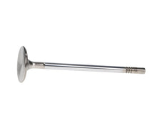 Load image into Gallery viewer, Manley Performance Manley Ford 4.6L DOHC (4 Valve) Triple Groove 37mm Race Master Intake Valves