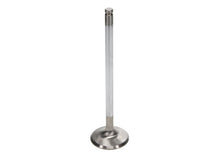Load image into Gallery viewer, Manley Performance Manley up to 2010 Dodge Viper V-10 1.600 Dia Race Master Exhaust Valves (Set of 10)