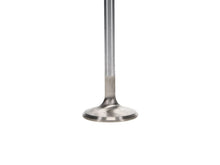Load image into Gallery viewer, Manley Performance Manley up to 2010 Dodge Viper V-10 1.600 Dia Race Master Exhaust Valves (Set of 10)