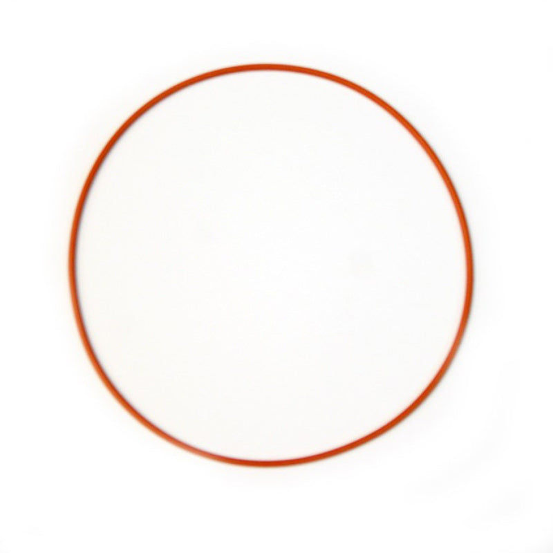 Nitrous Express Replacement O-Ring Gasket for Coyote Plate, product view 2